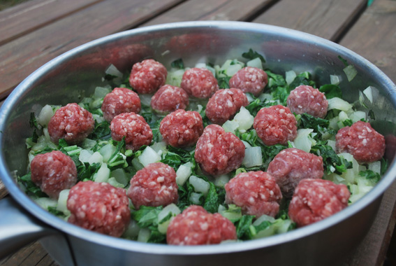 boulettes de viande au pak choi, un chou chinois bio