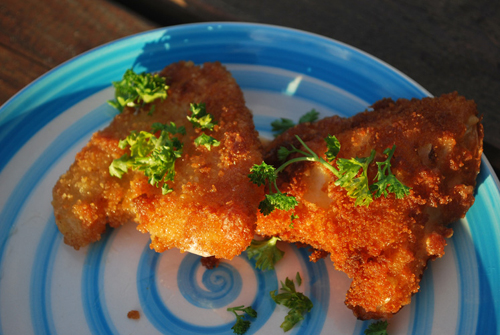 Recette facile avec patisson bio